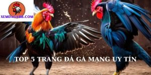 trang đá gà mạng