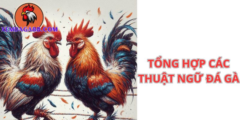 tiếng lóng trong đá gà