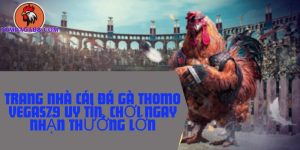 trang nhà cái đá gà thomo