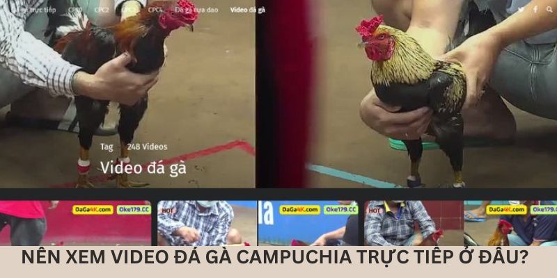 xem-video-da-ga-campuchia-o-dau